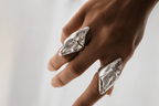 The Wild Horse Ring