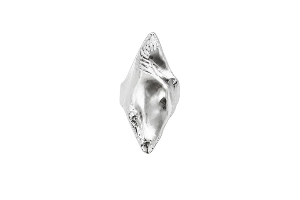 The Wild Horse Ring