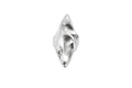 The Wild Horse Ring